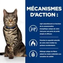 Hill's Prescription Diet Feline Metabolic 1.5 Kg 12 Hill's Prescription Diet Feline Metabolic 1.5 Kg -Forniture Per Gatti 52742009421 4 prescription diet chat metabolic croquettes poulet