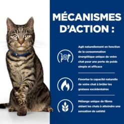 Hill's Prescription Diet Feline Metabolic 3 Kg 10 Hill's Prescription Diet Feline Metabolic 3 Kg -Forniture Per Gatti 52742009421 4 prescription diet chat metabolic croquettes poulet 1 1