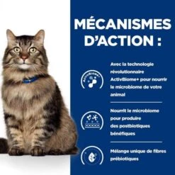 Hill's Prescription Diet Feline Gastrointestinal Biome Spezzatino 24 X 82 G -Forniture Per Gatti 52742042084 5 prescription diet chat gastrointestinal biome croquettes poulet 2