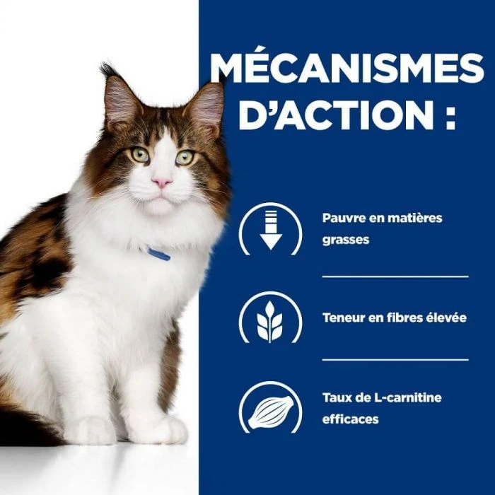 Hill's Prescription Diet Feline W/D Benefit 1.5 Kg 7 Hill's Prescription Diet Feline W/D Benefit 1.5 Kg - immagine 5
