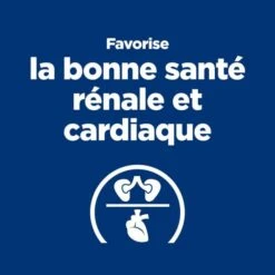 Hill's Prescription Diet Feline Y/D 1.5 Kg 10 Hill's Prescription Diet Feline Y/D 1.5 Kg -Forniture Per Gatti 52742042503 2 prescription diet chat y d croquettes poulet 2