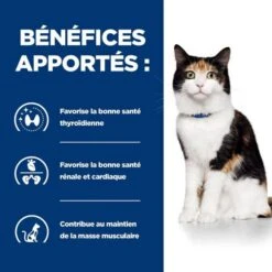 Hill's Prescription Diet Feline Y/D 1.5 Kg 11 Hill's Prescription Diet Feline Y/D 1.5 Kg -Forniture Per Gatti 52742042503 4 prescription diet chat y d croquettes poulet 2