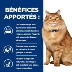 Hill's Prescription Diet Feline K/D + Mobility 12 X 85 G 12 Hill's Prescription Diet Feline K/D + Mobility 12 X 85 G -Forniture Per Gatti 52742044767 4 prescription diet chat k d mobility croquettes poulet