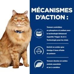 Hill's Prescription Diet Feline K/D + Mobility 12 X 85 G 13 Hill's Prescription Diet Feline K/D + Mobility 12 X 85 G -Forniture Per Gatti 52742044767 5 prescription diet chat k d mobility croquettes poulet