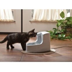 Pet Safe Fontana Mini Drinkwell 1.2 L -Forniture Per Gatti 813h5qp5egl. sl1500 1