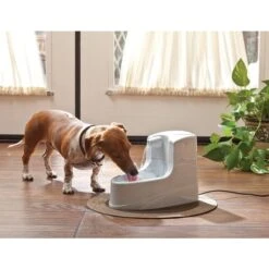 Pet Safe Fontana Mini Drinkwell 1.2 L -Forniture Per Gatti 81als6quu l. sl1500 1