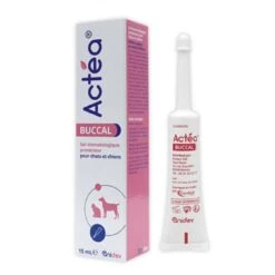 Actéa Buccal 15 Ml