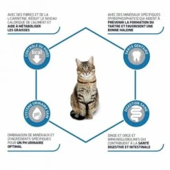 Advance Sterilized Gatto Al Tacchino 3 Kg -Forniture Per Gatti advance sterilized chat la dinde 3 kg 3 1