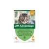 Advantage 40 Soluzione Spot-on Per Gatti 6 Pipette 2 Advantage 40 Soluzione Spot-on Per Gatti 6 Pipette -Forniture Per Gatti advantage 40 chat et lapin de 1 a 4 kg 6 pipettes