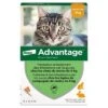 Advantage 40 Soluzione Spot-on Per Gatti 4 Pipette -Forniture Per Gatti advantage 40 chat et lapin de 1 a 4 kg pipettes x4