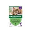 Advantage 80 Spot-on Per Gatti 6 Pipette -Forniture Per Gatti advantage 80 chat et lapin de de 4 kg pipettes x6 2