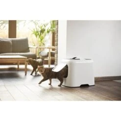 Rotho Cat Toilet Biala Antracite -Forniture Per Gatti biala 1 2