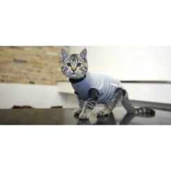 Buster Body Suit Gatto S -Forniture Per Gatti body