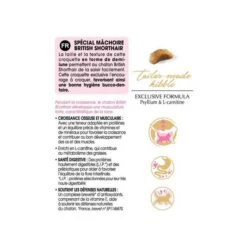 Royal Canin British Shorthair Kitten 2 Kg 13 Royal Canin British Shorthair Kitten 2 Kg -Forniture Per Gatti bs kit information