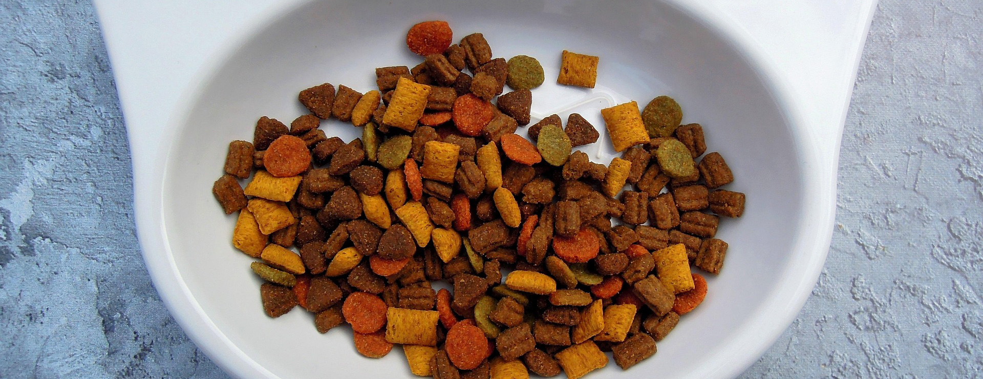 Forniture Per Gatti -Forniture Per Gatti cat 2170494 1920