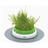 Cat It Senses Grass Planter - Vaso Per Erba Gatta -Forniture Per Gatti cat it jardin herbe a chat senses
