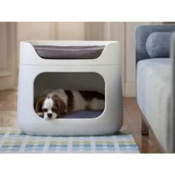 Divanetto Curver 3 In 1 Cane E Gatto -Forniture Per Gatti curver 3 en 1 panier