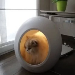 Croci Domo Smart Domus -Forniture Per Gatti domus 2