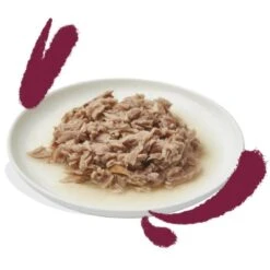 Edgard & Cooper Edgard & Cooper Tonno & Pollo Gatto 24 X 70 G 7 Edgard & Cooper Edgard & Cooper Tonno & Pollo Gatto 24 X 70 G -Forniture Per Gatti edgard cooper thon poulet chat 24 x 70 g 3