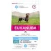 Eukanuba Cane Daily Care Adult Overweight Taglia Piccola & Media Al Pollo 12 Kg -Forniture Per Gatti eukanuba daily care chien adulte controle poids petit moyen poulet 12