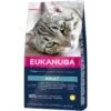 Eukanuba Top Condition 1+ Per Gatto Adulto 10 Kg 2 Eukanuba Top Condition 1+ Per Gatto Adulto 10 Kg -Forniture Per Gatti eukanuba chat adult 1 top condition 10 kg