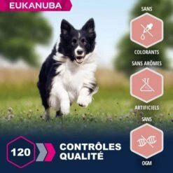 Eukanuba Mature & Senior Agnello 2.5 Kg -Forniture Per Gatti eukanuba chien senior grande race agneau riz 4