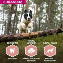 Eukanuba Mature & Senior Agnello 2.5 Kg -Forniture Per Gatti eukanuba chien senior grande race agneau riz 6