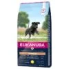 Eukanuba Developing Junior Large Breed Con Pollo Per Cane 12 Kg -Forniture Per Gatti eukanuba developing junior grande race poulet