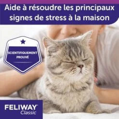 Feliway Ricarica Per Diffusore 48 Ml -Forniture Per Gatti feliway classic recharge pour diffuseur 48 ml 5