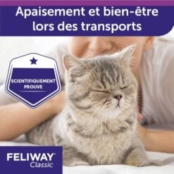 Feliway Spray Da Viaggio 20 Ml -Forniture Per Gatti feliway classic spray de voyage 20 ml 4