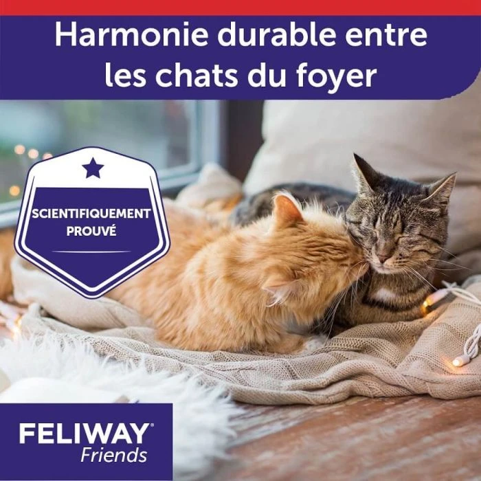 Feliway Friends Diffusore + Ricarica 48 Ml 7 Feliway Friends Diffusore + Ricarica 48 Ml - immagine 5