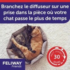 Feliway Friends Diffusore + Ricarica 48 Ml 17 Feliway Friends Diffusore + Ricarica 48 Ml -Forniture Per Gatti feliway friends diffuseur recharge 48 ml 7