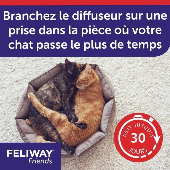 Feliway Friends Diffusore + Ricarica 48 Ml 9 Feliway Friends Diffusore + Ricarica 48 Ml - immagine 7