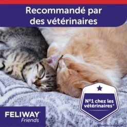 Feliway Friends Ricarica 48 Ml -Forniture Per Gatti feliway friends recharge 48 ml 6