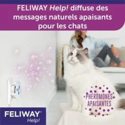 Feliway Help Pack 3 Cartucce 7 Jours 17 Feliway Help Pack 3 Cartucce 7 Jours -Forniture Per Gatti feliway help pack 3 cartouches 7 jours 11