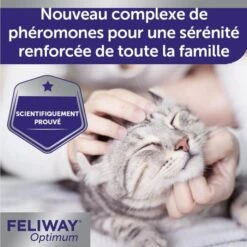 Feliway Optimum Ricarica Per Diffusore 48 Ml 15 Feliway Optimum Ricarica Per Diffusore 48 Ml -Forniture Per Gatti feliway optimum recharge pour diffuseur 48 ml 5