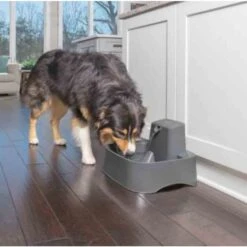 Fontana Drinkwell 7,5 L -Forniture Per Gatti fontaine drinkwell 7 5 l2