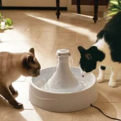 Fontana Ad Acqua Drinkwell 360° -Forniture Per Gatti fontaine drinkwell 360 2 la compagnie des animaux