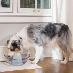 Fontana Drinkwell Sedona In Ceramica/ Plastica -Forniture Per Gatti fontaine drinkwell sedona ce ramique plastique la compagnie des animaux 2