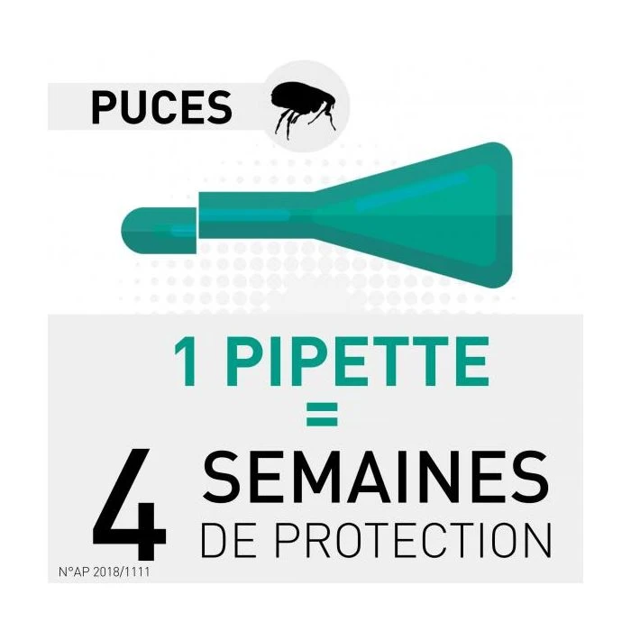Frontline Gatto Spot-on 6 Pipette 6 Frontline Gatto Spot-on 6 Pipette - immagine 4