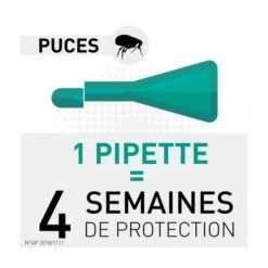 Frontline Gatto Spot-on 4 Pipette 9 Frontline Gatto Spot-on 4 Pipette -Forniture Per Gatti frontlinecombochatduree 1 1