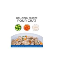 Hill's Science Plan Hill's Science Plan Feline Adult Healthy Cuisine 12 X 80 G -Forniture Per Gatti hill s science plan feline adult healthy cuisine 12 x 80 g 2