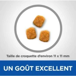 Hill's VetEssentials Feline Mature Dental Health Pollo 2,5 Kg 9 Hill's VetEssentials Feline Mature Dental Health Pollo 2,5 Kg -Forniture Per Gatti hill s vetessentials feline mature dental health poulet 2 5 kg2