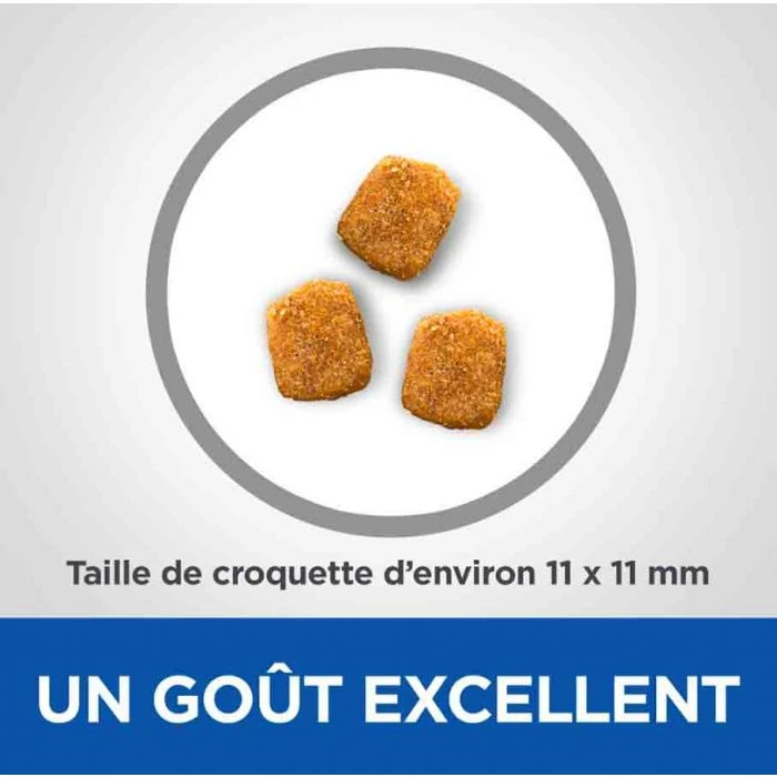 Hill's VetEssentials Feline Mature Dental Health Pollo 2,5 Kg 5 Hill's VetEssentials Feline Mature Dental Health Pollo 2,5 Kg - immagine 3