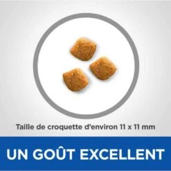 Hill's VetEssentials Feline Young Adult Dental Health Pollo 10 Kg 9 Hill's VetEssentials Feline Young Adult Dental Health Pollo 10 Kg -Forniture Per Gatti hill s vetessentials feline young adult dental health poulet 10 kg2