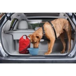 Kurgo Borsa Porta Crochette Da Viaggio Rossa -Forniture Per Gatti kurgo sac de transport croquettes rouge7