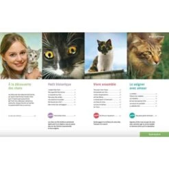 Livre - Tout Sur Mon Chat -Forniture Per Gatti livre tout sur mon chat2