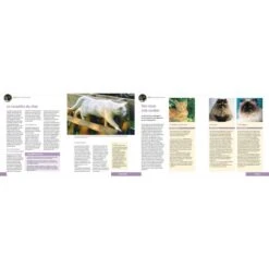 Livre - Tout Sur Mon Chat -Forniture Per Gatti livre tout sur mon chat3