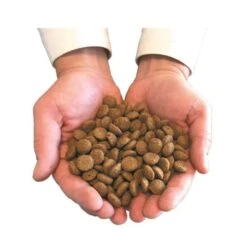 Felichef Terrine Bio Al Pollame Senza Cereali Per Gatto 16 X 100 G 9 Felichef Terrine Bio Al Pollame Senza Cereali Per Gatto 16 X 100 G -Forniture Per Gatti main avec croquettes 3 17