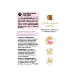 Royal Canin Maine Coon Kitten 2 Kg -Forniture Per Gatti mc kit information 2